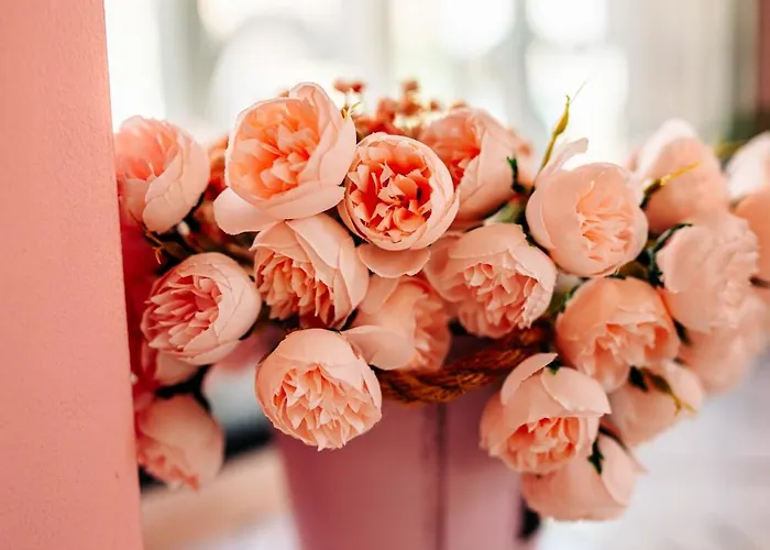 Szálloda Kiev-free Parking 3*